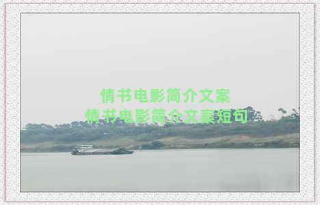 情书电影简介文案 情书电影简介文案短句